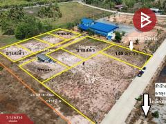 ขายที่ดิน เนื้อที่ 1 งาน 49 ตร.วา ขลุง จันทบุรี-202511111742031762857723477.jpg