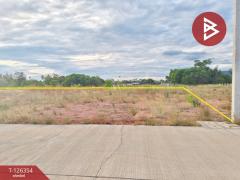 ขายที่ดิน เนื้อที่ 1 งาน 49 ตร.วา ขลุง จันทบุรี-202511111742061762857726177.jpg