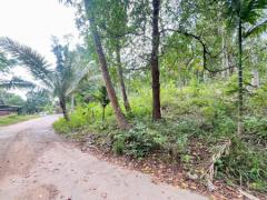 For Sale / For Rent – Prime Land at Lipa Noi, Koh Samui