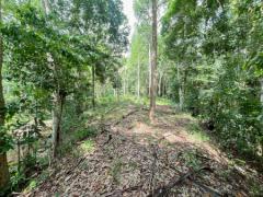 ขาย / ให้เช่า ที่ดินทำเลทอง ลิปะน้อย เกาะสมุย สุราษ