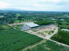 ขายโกดังขนาด 3,000 ตร.ม. บนเนื้อที่ 6ไร่ ต.หนองไผ่แก้ว อ.บ้านบึง จ.ชลบุรี
