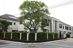 ขาย-ให้เช่า บ้านเดี่ยว เศรษฐสิริ บางนา กม.10 Setthasiri Bangna KM.10 377 ตรม 102 ตรว 5 ห้องนอน 6 ห้องน้ำ 3 ที่จอดรถ แปลงมุม ใกล้เมกะบางนา-202511120451051762897865850.jpg