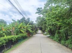 ขาย ที่ดิน WF098 แปลงเล็ก ทำเลดี ราคาถูก ผัง EEC สีส้มลาย มาบข่า นิคมพัฒนา ระยอง . 1 งาน 12 ตรว ใกล้โลตัสนิคมพัฒนา ถนน 3375. เพียง 120 m.-202511120548541762901334506.jpg