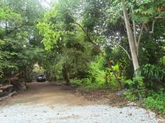 ขาย ที่ดิน WF098 แปลงเล็ก ทำเลดี ราคาถูก ผัง EEC สีส้มลาย มาบข่า นิคมพัฒนา ระยอง . 1 งาน 12 ตรว ใกล้โลตัสนิคมพัฒนา ถนน 3375. เพียง 120 m.-202511120548551762901335596.jpg