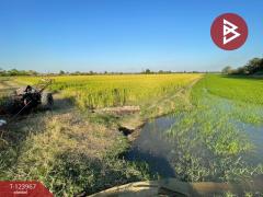 ขายด่วนที่ดิน เนื้อที่ 1 ไร่ 1 งาน 99 ตารางวา หนองเสือ ปทุทธานี-202511121003401762916620469.jpg