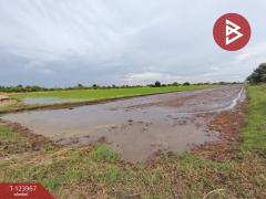 ขายด่วนที่ดิน เนื้อที่ 1 ไร่ 1 งาน 99 ตารางวา หนองเสือ ปทุทธานี-202511121003411762916621548.jpg