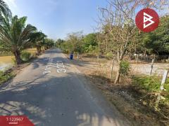 ขายด่วนที่ดิน เนื้อที่ 1 ไร่ 1 งาน 99 ตารางวา หนองเสือ ปทุทธานี-202511121003421762916622609.jpg