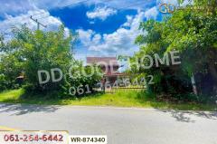 WR-874340 ที่ดิน มหาราช 5 ไร่ อยุธยา ใกล้พุทธอุทยานมหาราช หลวงปู่ทวด-202511121012041762917124937.jpg