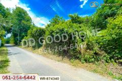 WR-874340 ที่ดิน มหาราช 5 ไร่ อยุธยา ใกล้พุทธอุทยานมหาราช หลวงปู่ทวด-202511121012081762917128930.jpg