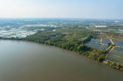 ขายที่ดิน ติดแม่น้ำบางปะกง เนื้อที่ 18 ไร่ 2 งาน 39 ตารางวา ตั้งอยู่ที่ ต.บางกรูด อ.บ้านโพธิ์ จ.ฉะเชิงเทรา