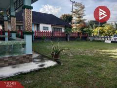 ขายบ้านเดี่ยวชั้นเดียว เนื้อที่ 1 งาน 20.1 ตารางวา ตะพง ระยอง-202511121047071762919227802.jpg