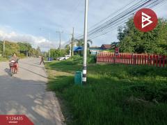 ขายบ้านเดี่ยวชั้นเดียว เนื้อที่ 1 งาน 20.1 ตารางวา ตะพง ระยอง-202511121047081762919228881.jpg