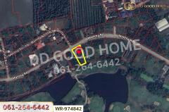 WR-974842 ที่ดินนครชัยศรี 294 ตร.ว. หมู่บ้านกฤษดานคร 26 นครปฐม ใกล้เซ็นทรัลศาลายา-202511121107251762920445760.jpg