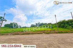 WR-974842 ที่ดินนครชัยศรี 294 ตร.ว. หมู่บ้านกฤษดานคร 26 นครปฐม ใกล้เซ็นทรัลศาลายา-202511121107261762920446884.jpg