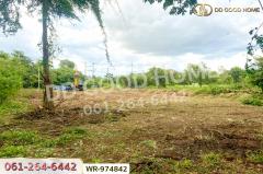 WR-974842 ที่ดินนครชัยศรี 294 ตร.ว. หมู่บ้านกฤษดานคร 26 นครปฐม ใกล้เซ็นทรัลศาลายา-202511121107281762920448537.jpg