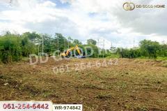 WR-974842 ที่ดินนครชัยศรี 294 ตร.ว. หมู่บ้านกฤษดานคร 26 นครปฐม ใกล้เซ็นทรัลศาลายา-202511121107291762920449094.jpg