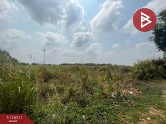 ขายที่ดิน-เนื้อที่-14-ไร่-3-งาน-32-ตร.วา-บ