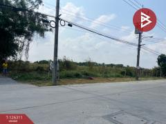 ขายที่ดิน เนื้อที่ 14 ไร่ 3 งาน 32 ตร.วา บางพลี สมุทรปราการ-202511121111211762920681099.jpg