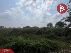 ขายที่ดิน เนื้อที่ 14 ไร่ 3 งาน 32 ตร.วา บางพลี สมุทรปราการ-202511121111231762920683323.jpg