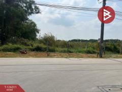 ขายที่ดิน เนื้อที่ 14 ไร่ 3 งาน 32 ตร.วา บางพลี สมุทรปราการ-202511121111261762920686481.jpg