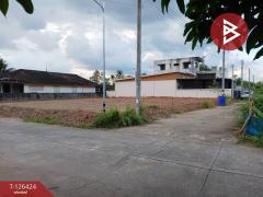 ขายที่ดินถมแล้ว เนื้อที่ 1 งาน 28.4 ตารางวา บ้านค่าย ระยอง-202511121135161762922116604.jpg