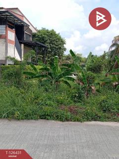 ขายที่ดิน-เนื้อที่-3-งาน-30-ตารางวา-บ้า