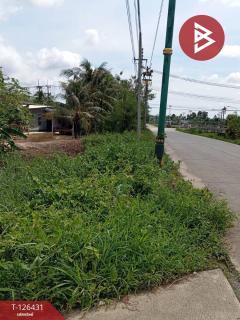 ขายที่ดิน เนื้อที่ 3 งาน 30 ตารางวา บ้านค่าน ระยอง-202511121201321762923692026.jpg