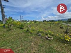 ขายที่ดิน เนื้อที่ 2 ไร่ 2 งาน จันทนิมิต จันทบุรี-202511121206571762924017439.jpg