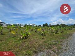 ขายที่ดิน เนื้อที่ 2 ไร่ 2 งาน จันทนิมิต จันทบุรี-202511121206571762924017980.jpg