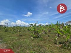 ขายที่ดิน เนื้อที่ 2 ไร่ 2 งาน จันทนิมิต จันทบุรี-202511121206581762924018516.jpg