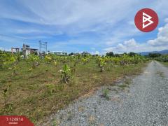 ขายที่ดิน เนื้อที่ 2 ไร่ 2 งาน จันทนิมิต จันทบุรี-202511121207011762924021228.jpg