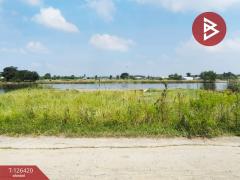 ขายที่ดิน เนื้อที่ 1 งาน 21.9 ตารางวา ต.ดอนตูม อ.บางเลน จ.นครปฐม-202511121208101762924090465.jpg