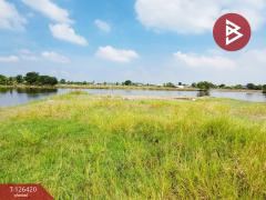 ขายที่ดิน เนื้อที่ 1 งาน 21.9 ตารางวา ต.ดอนตูม อ.บางเลน จ.นครปฐม-202511121208141762924094248.jpg