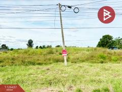 ขายที่ดิน เนื้อที่ 9 ไร่ 2 งาน 40 ตร.วา บ้านไผ่ ขอนแก่น