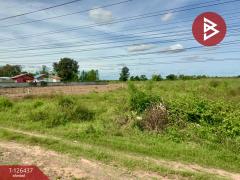 ขายที่ดิน เนื้อที่ 9 ไร่ 2 งาน 40 ตร.วา บ้านไผ่ ขอนแก่น-202511121221291762924889863.jpg