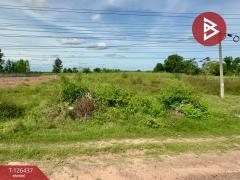 ขายที่ดิน เนื้อที่ 9 ไร่ 2 งาน 40 ตร.วา บ้านไผ่ ขอนแก่น-202511121221301762924890402.jpg