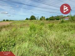 ขายที่ดิน เนื้อที่ 9 ไร่ 2 งาน 40 ตร.วา บ้านไผ่ ขอนแก่น-202511121221301762924890946.jpg