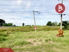 ขายที่ดิน เนื้อที่ 9 ไร่ 2 งาน 40 ตร.วา บ้านไผ่ ขอนแก่น-202511121221321762924892036.jpg