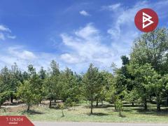 ขายที่ดิน เนื้อที่ 1 ไร่ 2 งาน 37 ตารางวา ท่าใหม่ จันทบุรี-202511121238521762925932672.jpg