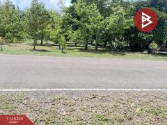 ขายที่ดิน เนื้อที่ 1 ไร่ 2 งาน 37 ตารางวา ท่าใหม่ จันทบุรี-202511121238531762925933207.jpg