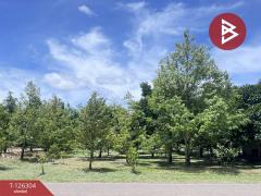 ขายที่ดิน เนื้อที่ 1 ไร่ 2 งาน 37 ตารางวา ท่าใหม่ จันทบุรี-202511121238541762925934280.jpg