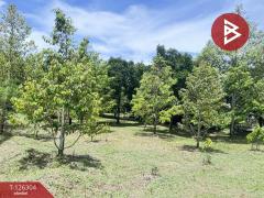 ขายที่ดิน เนื้อที่ 1 ไร่ 2 งาน 37 ตารางวา ท่าใหม่ จันทบุรี-202511121238541762925934821.jpg