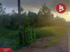 ขายที่ดิน เนื้อที่ 1 ไร่ 2 งาน 37 ตารางวา ท่าใหม่ จันทบุรี-202511121238551762925935364.jpg