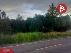 ขายที่ดิน เนื้อที่ 1 ไร่ 2 งาน 37 ตารางวา ท่าใหม่ จันทบุรี-202511121238551762925935905.jpg