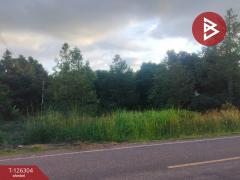 ขายที่ดิน เนื้อที่ 1 ไร่ 2 งาน 37 ตารางวา ท่าใหม่ จันทบุรี-202511121238561762925936436.jpg