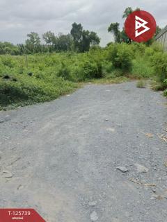 ขายที่ดิน เนื้อที่ 1 ไร่ ท่าทราย สมุทรสาคร-202511121252451762926765919.jpg