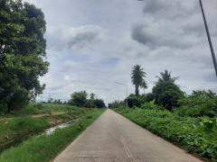 ขายที่ดินเปล่า 1 ไร่ 61 ตร.วา ติดคลองชลประทาน ทำเลดี ใกล้ถนนแสงชูโต อ.ท่ามะกา จ.กาญจนบุรี เพียง 950,000 บาท-202511121418001762931880837.jpg