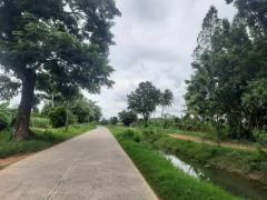 ขายที่ดินเปล่า 1 ไร่ 61 ตร.วา ติดคลองชลประทาน ทำเลดี ใกล้ถนนแสงชูโต อ.ท่ามะกา จ.กาญจนบุรี เพียง 950,000 บาท-202511121418011762931881409.jpg