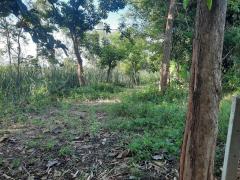 ขายที่ดินเปล่า 1 ไร่ 61 ตร.วา ติดคลองชลประทาน ทำเลดี ใกล้ถนนแสงชูโต อ.ท่ามะกา จ.กาญจนบุรี เพียง 950,000 บาท-202511121418011762931881974.jpg