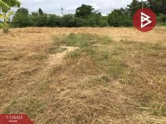 ขายที่ดินเปล่า เนื้อที่ 2 ไร่ บางปลาม้า สุพรรณบุรี ทำเลดีฯ-202511121433551762932835668.jpg